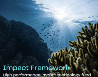 AENU Impact Framework