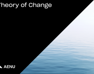 AENU Theory of Change