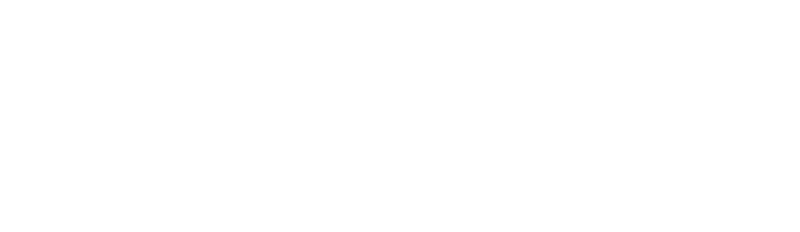 apiday-logo-white